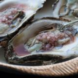 Oysters with Tropical Mignonette