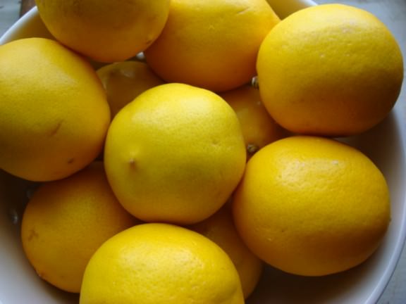 preserved lemons collander of meyer lemons