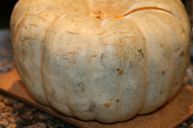 whole queensland blue pumpkin