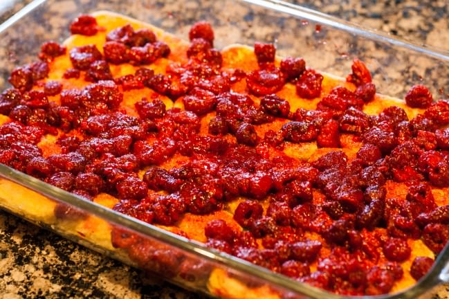 covering the soaked ladyfingers in raspberries