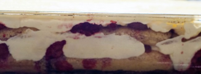 cross section of tiramisu