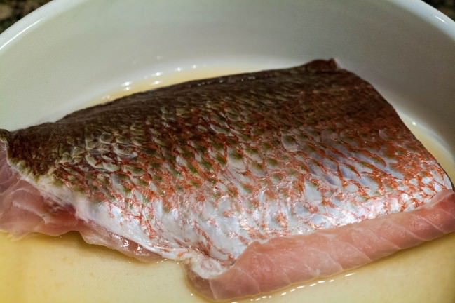 red snapper marinating in grapefruit juice