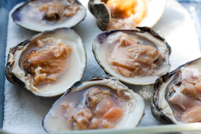 raw cherry stone clams in half shell