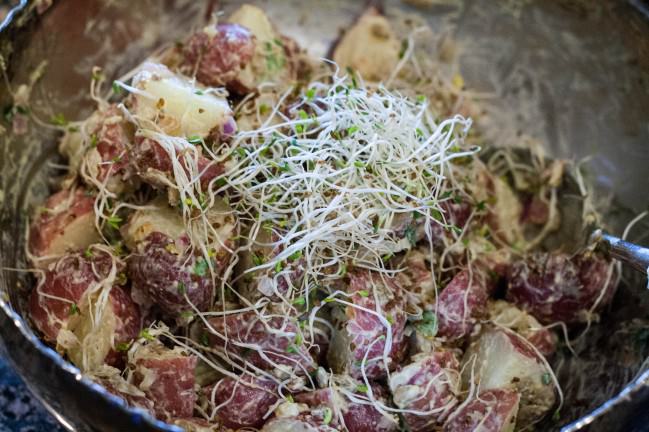 red potato salad topped with sprouts