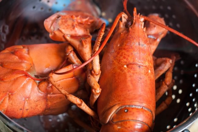 boiled lobsters