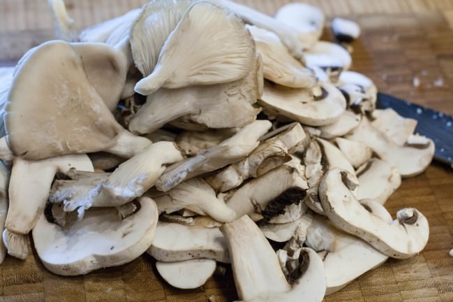 many mushrooms