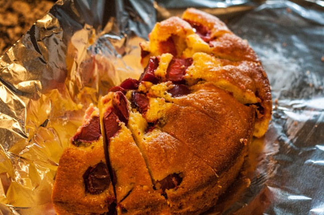 Almond Plum Cake sliced and packed for picnic