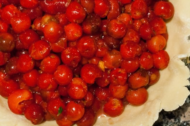 cherries in the pie crust