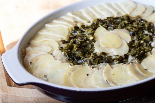 Poblano Potato Gratin ready for oven