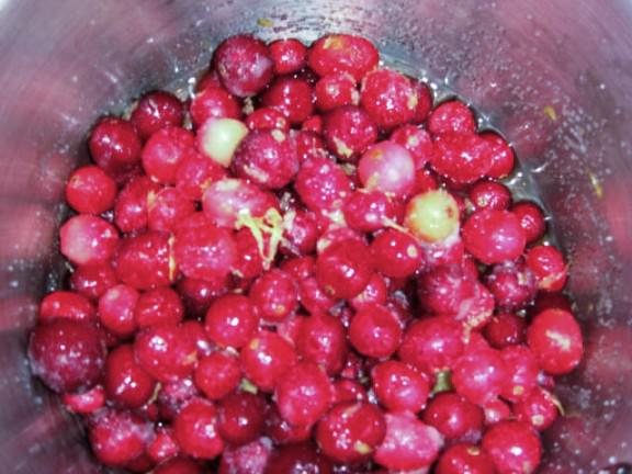 cranberry sauce with grapefruit zest