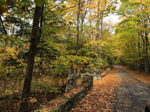 stone fences and fall colors in door county