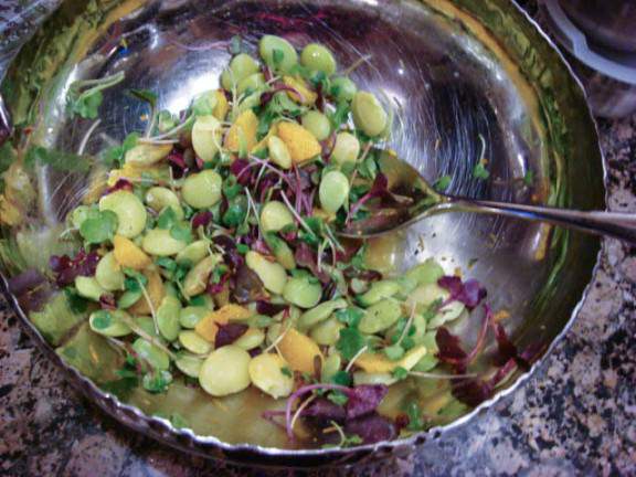 fava bean bruschetta salad