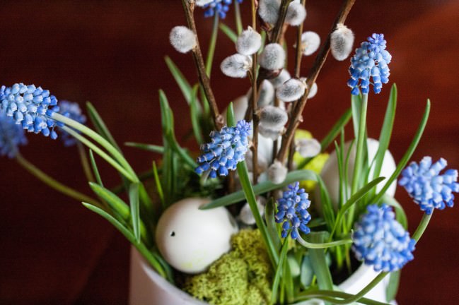 Happy Easter grape hyacinths and willow