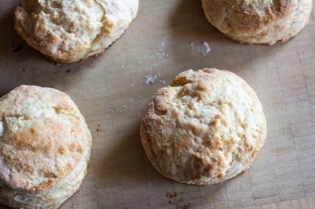 flaky buttery food processor buttermilk biscuits