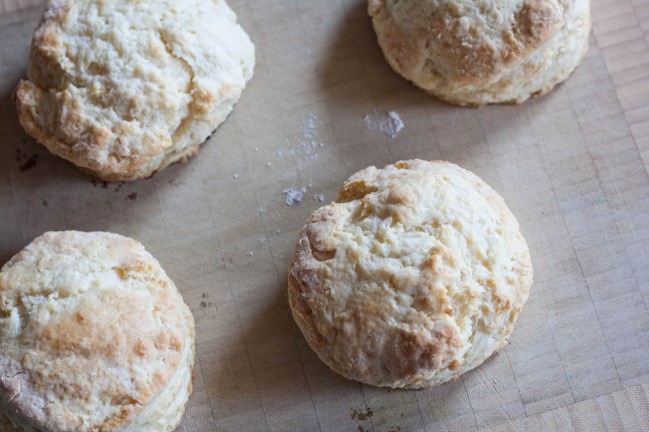 flaky buttery food processor buttermilk biscuits hot
