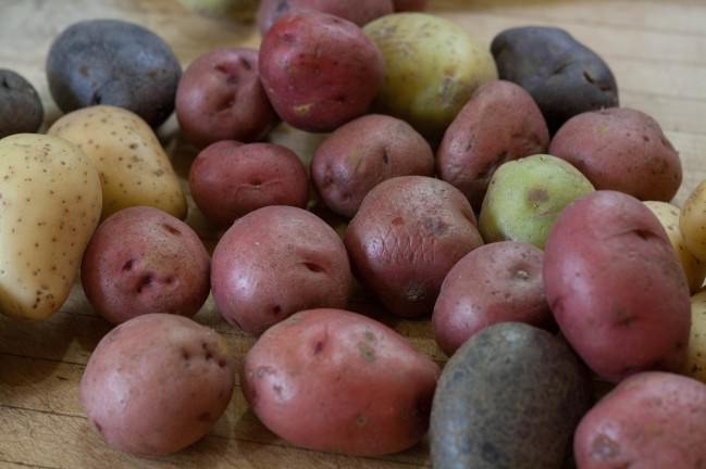 French Tarragon Red, White and Blue Potato Salad potatoes