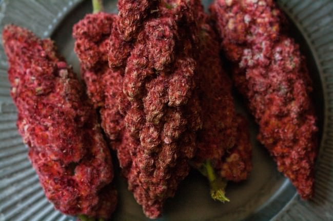 Sumac Lemonade sumace drupes