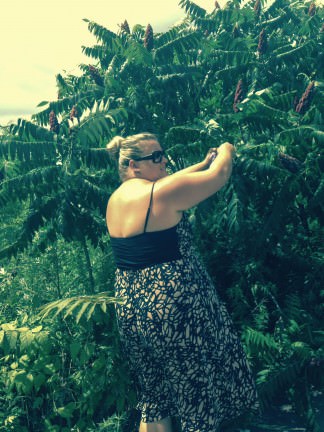 Sumac Lemonade urban foraging