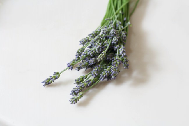 bunch of lavender