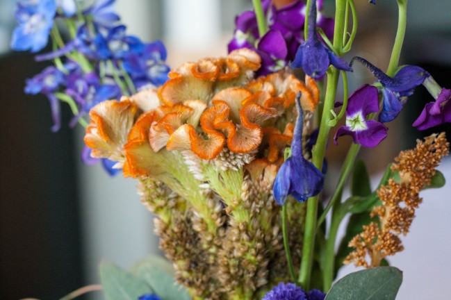 Fall Centerpieces rust cockscomb and blue delphinium