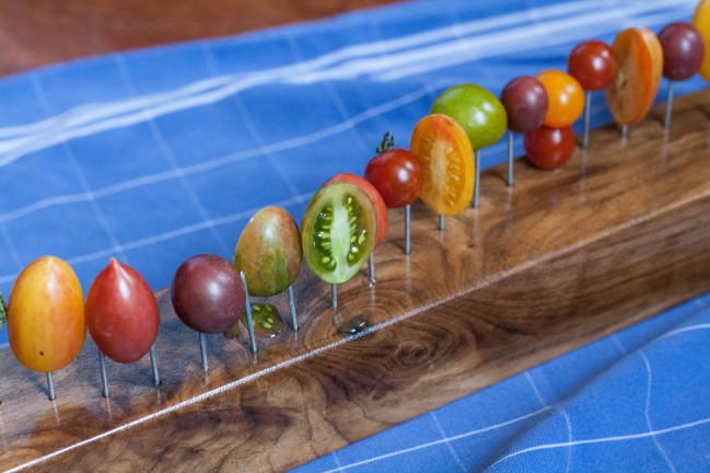 Tomatoes on a Fence 12