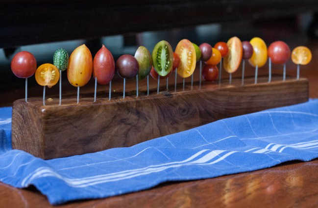 Tomatoes on a Fence 15