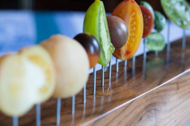 Tomatoes on a Fence 2