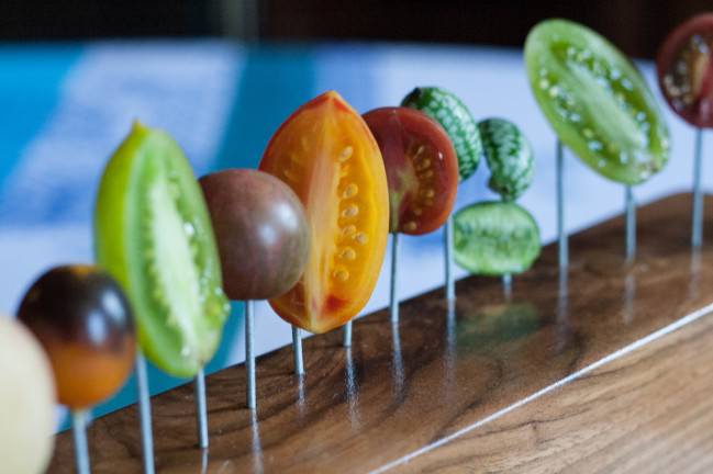 Tomatoes on a Fence 3