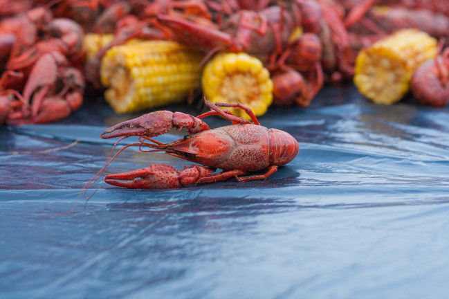 Crawfish Boil crawfish and corn