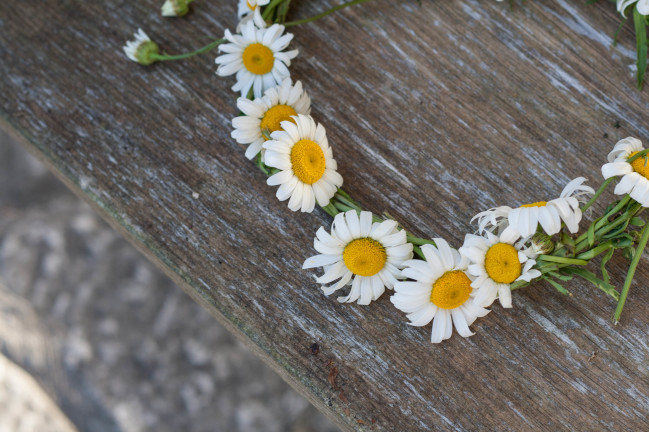 Daisy Crowns for Midsommars Eve